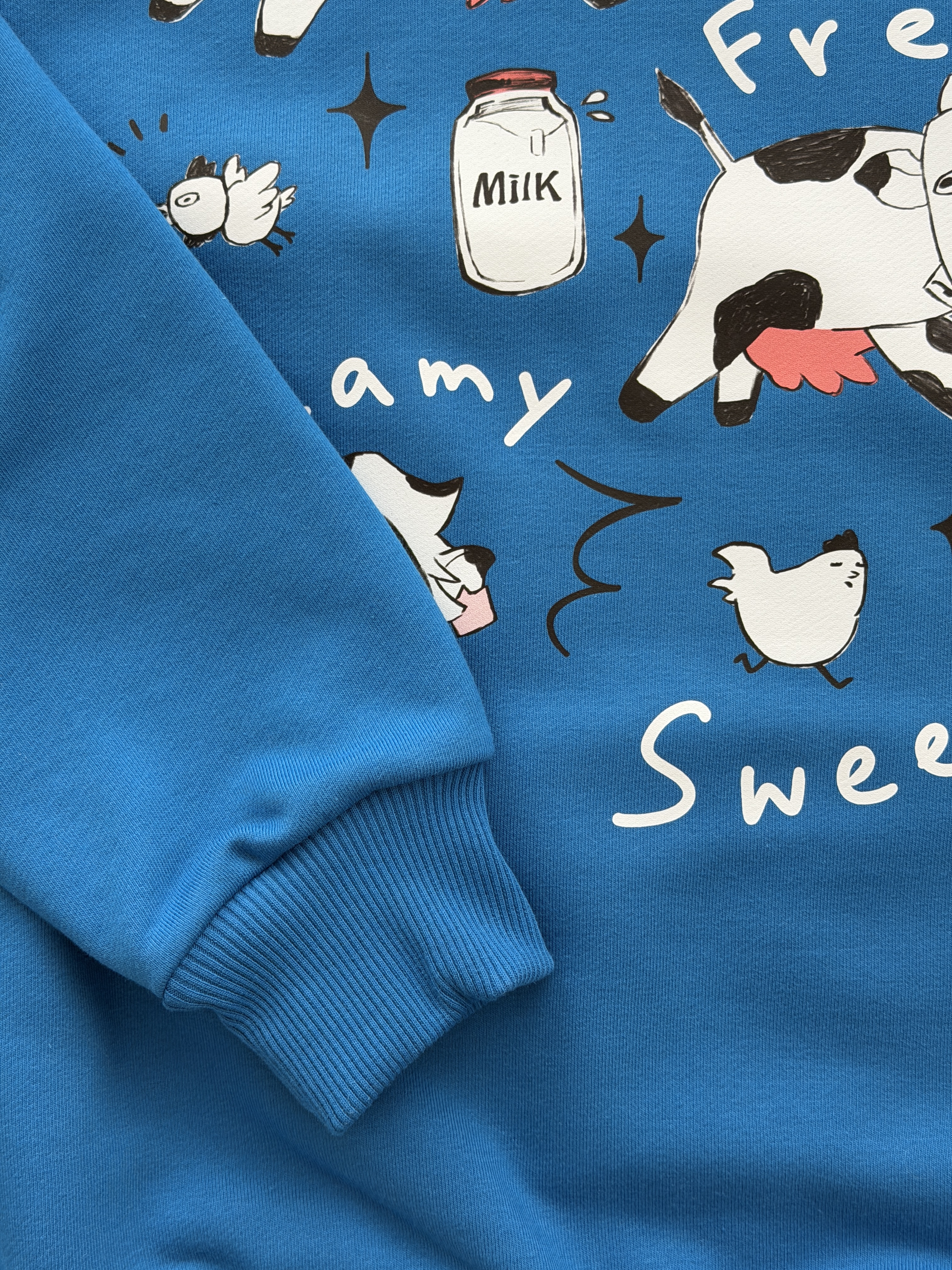 Sweatshirt «FERMA» 2
